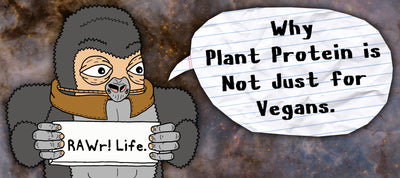 Why Plant Protein is Not Just for Vegans
