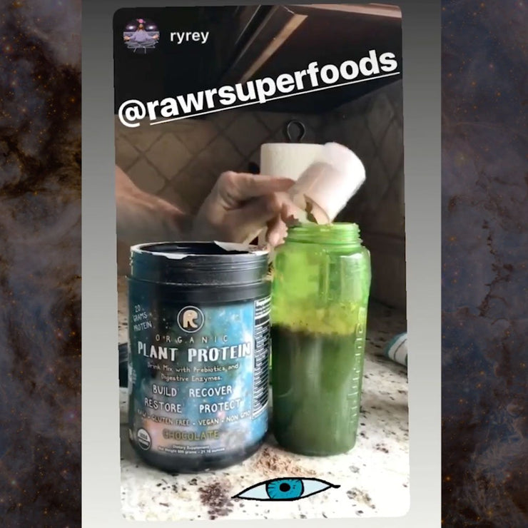 RAWr! PLANT PROTEIN