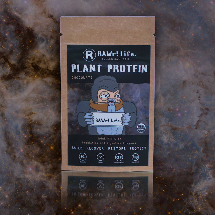 RAWr! PLANT PROTEIN - Sample Pack